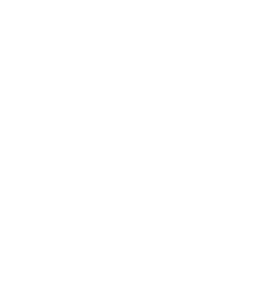 Fuel